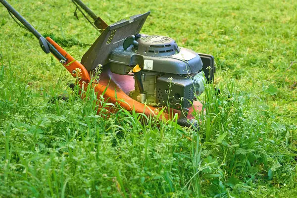 Bir çimenlikteki çimleri biçmek için elektrik ya da benzin makinesi