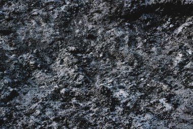 Toprağın ya da toprağın. Birçok bitki ya da ürün üretebilir ya da üretebilir.