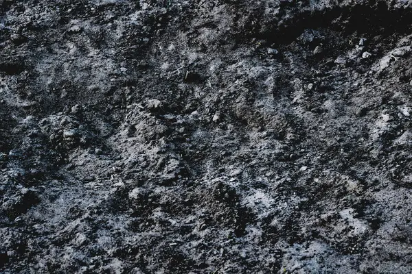 Toprağın ya da toprağın. Birçok bitki ya da ürün üretebilir ya da üretebilir.