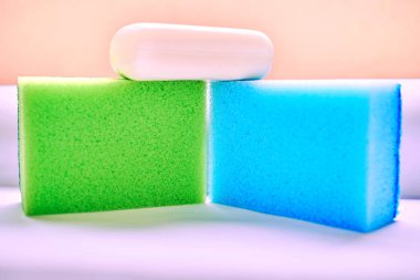 Yumuşak, hafif, gözenekli bir maddenin bir parçası. Orijinal olarak fibröz iskeletten oluşuyor.