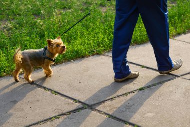 Her ayağını kaldırarak ve yere basarak düzenli bir adım at, aynı anda iki ayağını da yerden kaldırmadan.