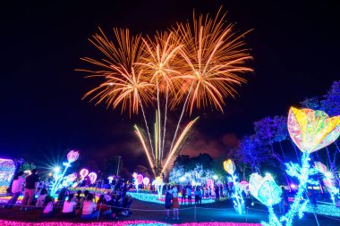 Chiang Mai havai fişek gösterisi Chaloem Phrakiat Park, Chiang Mai Eyaleti, Tayland 'da geri sayım kutlaması. Renkli Yeni Yıl Havai fişekleri