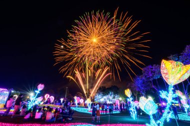 Chiang Mai havai fişek gösterisi Chaloem Phrakiat Park, Chiang Mai Eyaleti, Tayland 'da geri sayım kutlaması. Renkli Yeni Yıl Havai fişekleri