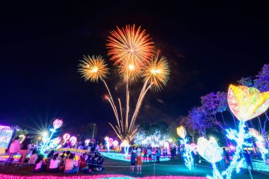 Chiang Mai havai fişek gösterisi Chaloem Phrakiat Park, Chiang Mai Eyaleti, Tayland 'da geri sayım kutlaması. Renkli Yeni Yıl Havai fişekleri