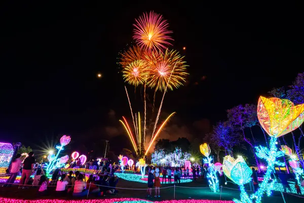 Chiang Mai havai fişek gösterisi Chaloem Phrakiat Park, Chiang Mai Eyaleti, Tayland 'da geri sayım kutlaması. Renkli Yeni Yıl Havai fişekleri