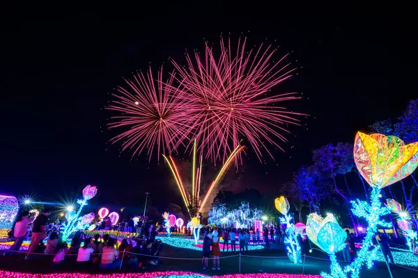 Chiang Mai Ohňostroj Zobrazit Odpočítávání Oslavu Chaloem Phrakiat Park Chiang Stock Obrázky