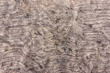 Arkaplan veya arkaplan için taş dokusu. Kaya yüzeyinin yakın çekim görüntüsü 