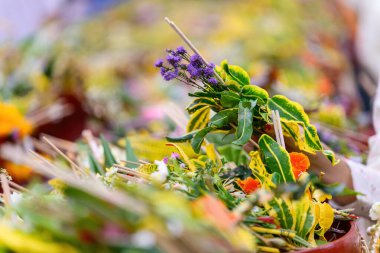 İnsanlar Chiang Mai, Tayland 'daki Chedi Luang tapınağındaki şehir sütununa (Inthakin Festivali) tapınmak için düzenlenen törene katıldılar.