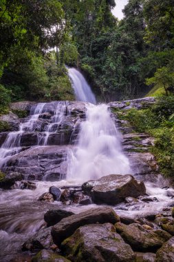 Huai Sai Lueang Şelalesi Doi Inthanon Ulusal Parkı, Chiang Mai, Tayland. Orta büyüklükte bir şelaledir ve şu anda tüm yıl boyunca güçlüdür..