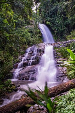 Huai Sai Lueang Şelalesi Doi Inthanon Ulusal Parkı, Chiang Mai, Tayland. Orta büyüklükte bir şelaledir ve şu anda tüm yıl boyunca güçlüdür..