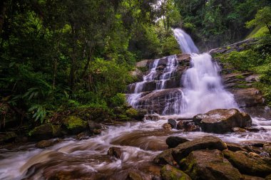 Huai Sai Lueang Şelalesi Doi Inthanon Ulusal Parkı, Chiang Mai, Tayland. Orta büyüklükte bir şelaledir ve şu anda tüm yıl boyunca güçlüdür..