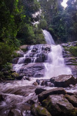 Huai Sai Lueang Şelalesi Doi Inthanon Ulusal Parkı, Chiang Mai, Tayland. Orta büyüklükte bir şelaledir ve şu anda tüm yıl boyunca güçlüdür..