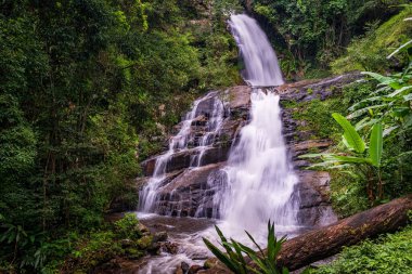 Huai Sai Lueang Şelalesi Doi Inthanon Ulusal Parkı, Chiang Mai, Tayland. Orta büyüklükte bir şelaledir ve şu anda tüm yıl boyunca güçlüdür..