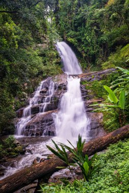 Huai Sai Lueang Şelalesi Doi Inthanon Ulusal Parkı, Chiang Mai, Tayland. Orta büyüklükte bir şelaledir ve şu anda tüm yıl boyunca güçlüdür..