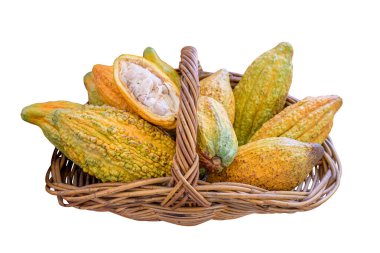 Cocoa berries in a basket isolated on white background with clipping path. Cacao fruit, raw cacao beans, Cocoa pod background