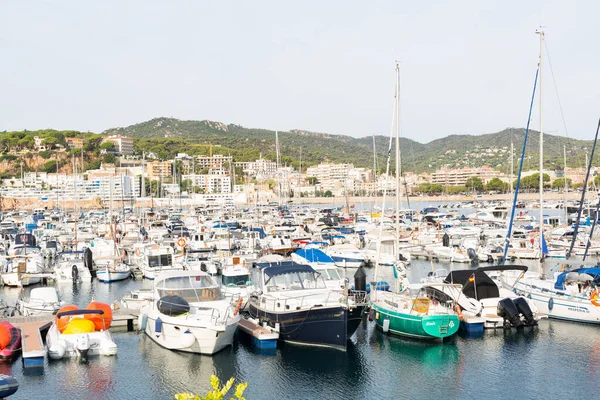 Sant Feliu de Gixols, Katalonya, İspanya 'daki rıhtıma demirlemiş küçük tekneleri olan Marina.