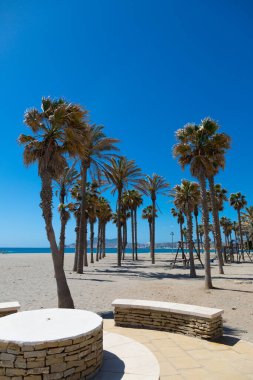 Akdeniz 'e yakın palmiye ağaçları ve mavi gökyüzünün altında 