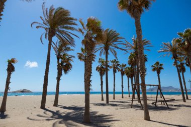 Akdeniz 'e yakın palmiye ağaçları ve mavi gökyüzünün altında 