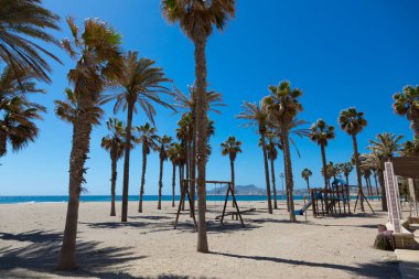 Akdeniz 'e yakın palmiye ağaçları ve mavi gökyüzünün altında 