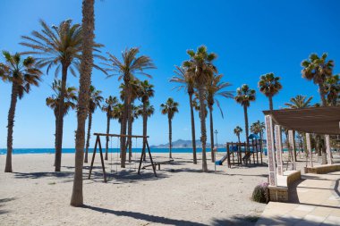 Cennetteki palmiye ağaçları denize çok yakındır.