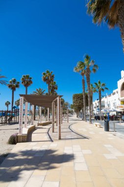 Cennetteki palmiye ağaçları denize çok yakındır.