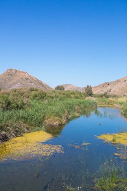 Almerya, Endülüs, İspanya 'da Aguas Nehri' nin ağzı..