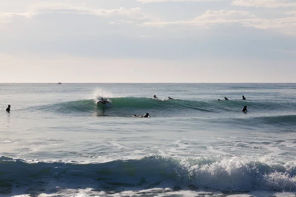 Vários Surfistas Esperando Por Uma Onda Para Montar — Fotografia de Stock