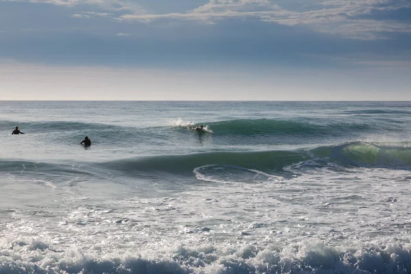 stock image Several surfers waiting for a wave to ride.