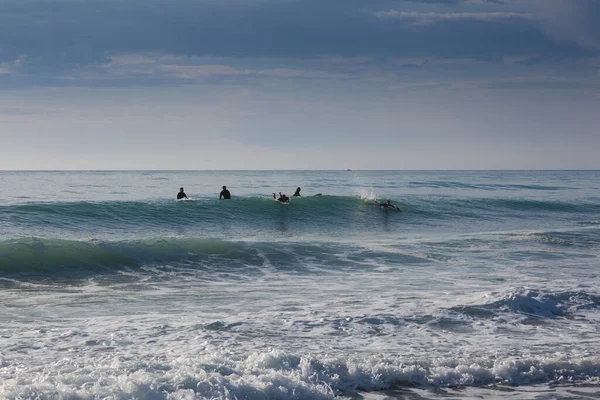 Diversi Surfisti Attesa Onda Cavalcare — Foto Stock