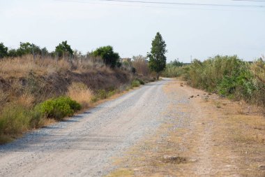 Nehre paralel kırsal toprak yol
