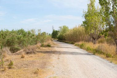 Nehre paralel kırsal toprak yol
