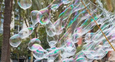 Sabun köpükleri yüzüyor ve şaşırtıcı renkleri yansıtıyor..