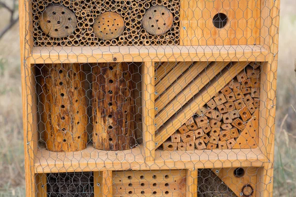 Insect hotel on a beach on the Catalan coast