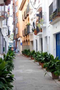 İspanya 'nın Katalonya eyaletinin Barcelona ilindeki Akdeniz' in eski Blanes kasabasının dar sokakları.