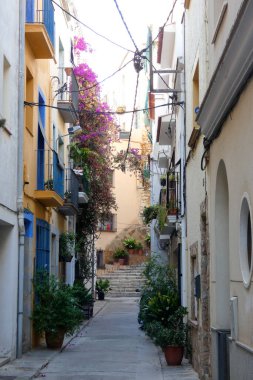 İspanya 'nın Katalonya eyaletinin Barcelona ilindeki Akdeniz' in eski Blanes kasabasının dar sokakları.