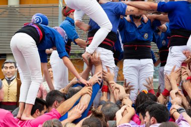 Geleneksel beyaz pantolon ve mor gömlekler giyen Katalan halkı, yerel festivaller için bir insan kulesi, bir castell inşa ediyorlar.