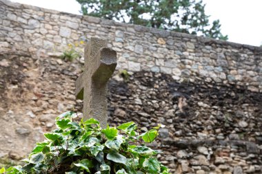 Altında sarmaşık büyüyen eski bir taş haç eski bir taş duvarın önünde duruyor.