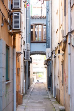 Bitkiler dar bir sokaktan İspanya 'nın bir kasabasındaki kemer yoluna doğru ilerliyor.