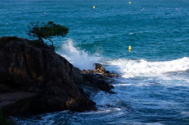 Beyaz okyanus dalgaları güneşli bir günde karanlık kayalara çarpıyor.