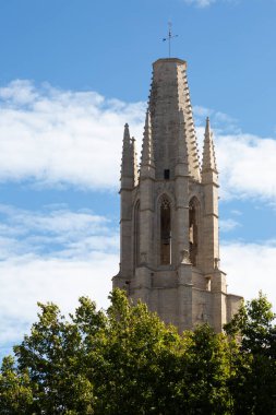 Girona katedrali uzun ve heybetli, Gotik mimarisi ön plandaki canlı yeşil yapraklarla çelişiyor.