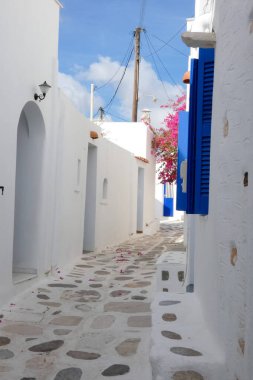 Canlı bougainvillea geleneksel bir Yunan adası köyündeki büyüleyici bir sokağa renk getiriyor.