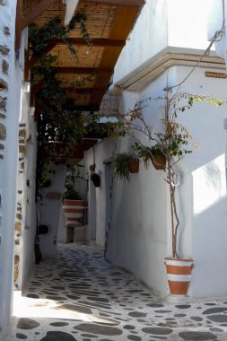 Duvarları beyazlatılmış, merdivene çıkan taş kaldırımlı bir sokak ve geleneksel bir Yunan köyünde eski bir ahşap kapı.