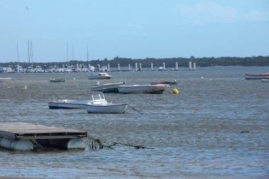 Ria formosa doğal parkının kıyısında yüzen yunus etiketli küçük beyaz motorlu tekne, Portekiz