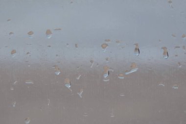 Martılar sahilde duruyor, okyanus esintisinin tadını çıkarıyorlar ve dalgalar kıyıya vuruyor.