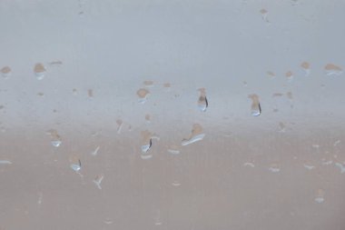 Martılar sahilde duruyor, okyanus esintisinin tadını çıkarıyorlar ve dalgalar kıyıya vuruyor.