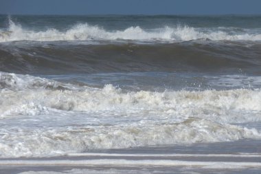 Martılar sahilde duruyor, okyanus esintisinin tadını çıkarıyorlar ve dalgalar kıyıya vuruyor.
