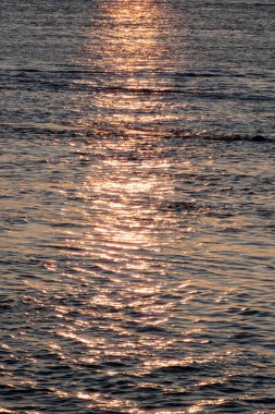 Altın saat güneş ışığı yavaşça dalgalanan su yüzeyini yansıtıyor, güzel parıldayan bir etki yaratıyor, sakin günbatımında ufukta süzülen teknelerle.