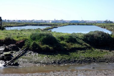 Algarve Bölgesi Portekiz 'deki Faro' nun tuzlu bataklıklarını gösteren güzel bir manzara.