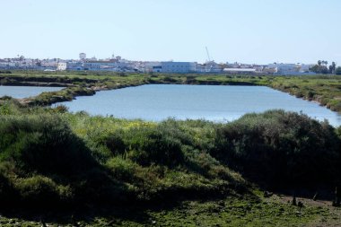 Algarve Bölgesi Portekiz 'deki Faro' nun tuzlu bataklıklarını gösteren güzel bir manzara.