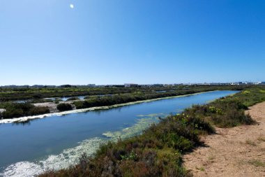 Algarve Bölgesi Portekiz 'deki Faro' nun tuzlu bataklıklarını gösteren güzel bir manzara.